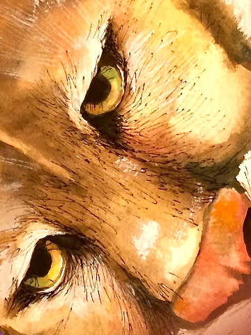 FullSizeRender (10)