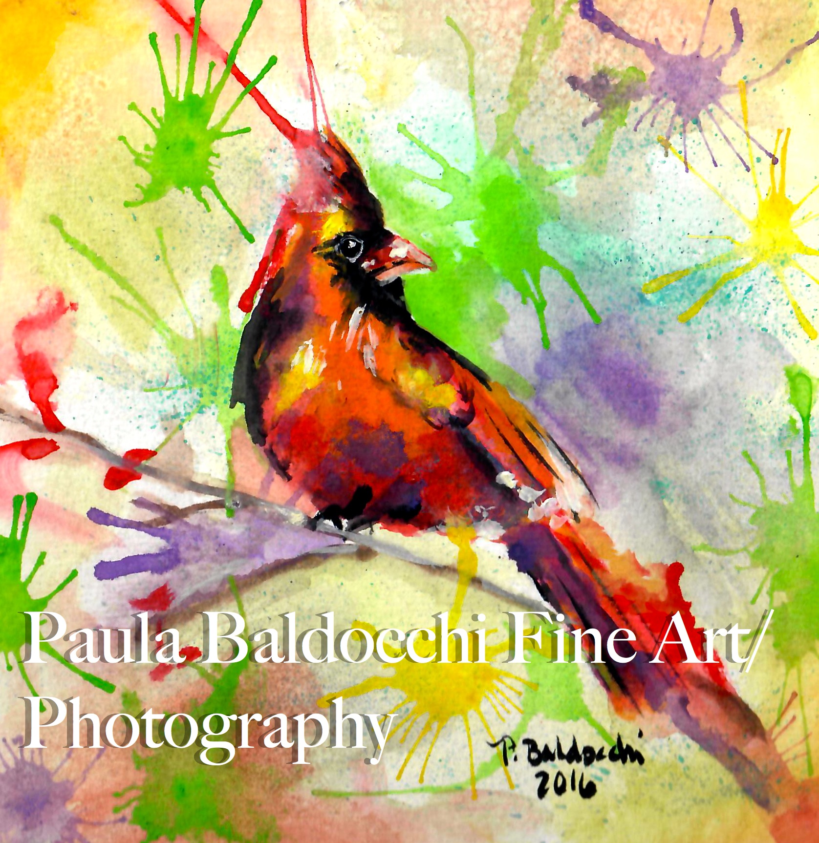 birds for website 31