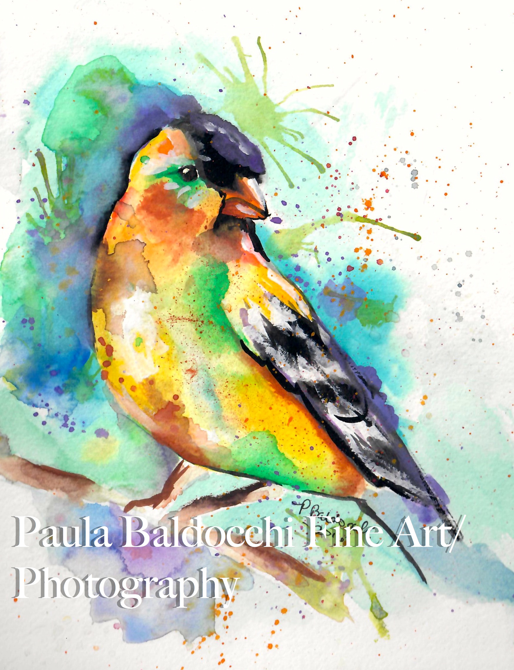 birds for website 32