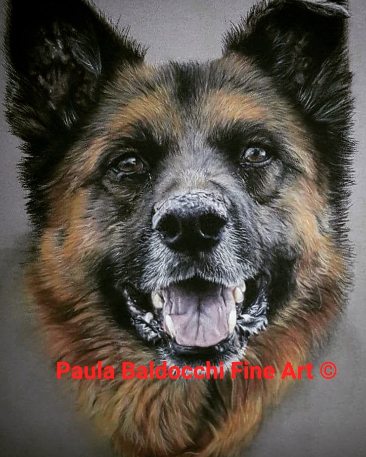 IMG_20170505_104838_733