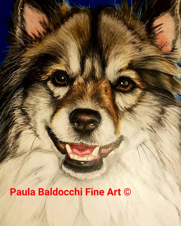 IMG_20170528_194305_255